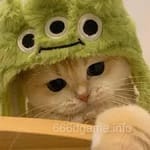 Avatar of Sadia Ahmed